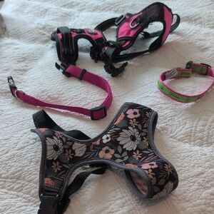 Floral and Pink Small Dogs Harness Set